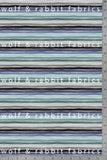 Winter Stripes - Organic Cotton/Spandex FRENCH TERRY