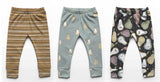 PEAR COLLECTION - TRANSPARENT - DIGITAL DESIGN FILES
