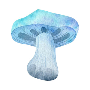 Aqua Mushroom - DTF Transfer/Iron On or Heat Press