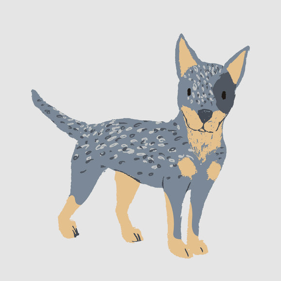 Australian Cattle Dog - DTF Transfer/Iron On or Heat Press