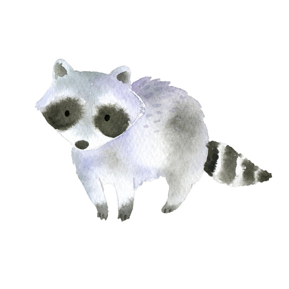 Baby Raccoon - DTF Transfer/Iron On or Heat Press