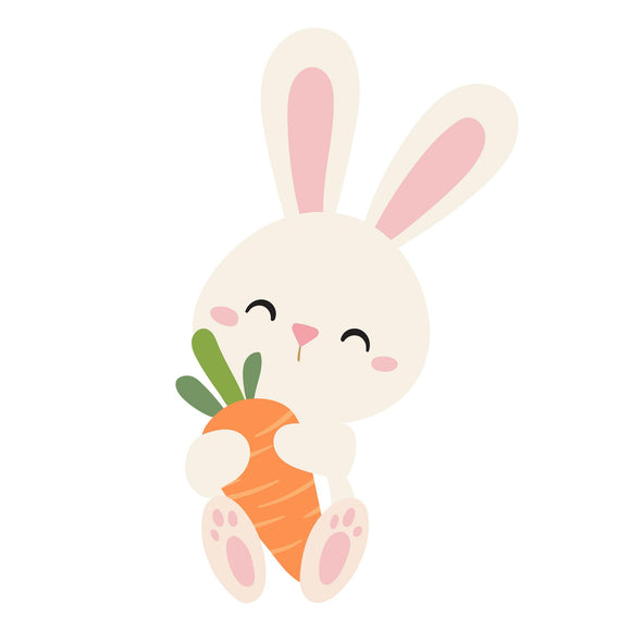 Bunny with Carrot - DTF Transfer/Iron On or Heat Press