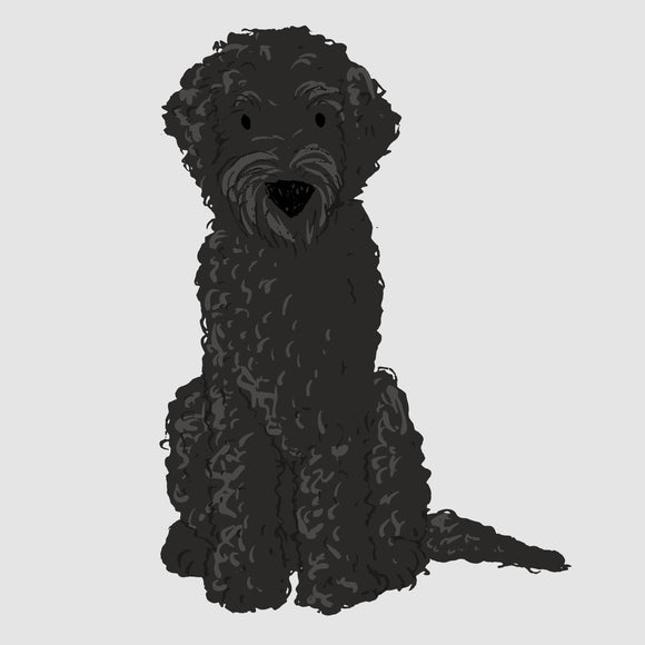 Labradoodle - DTF Transfer/Iron On or Heat Press