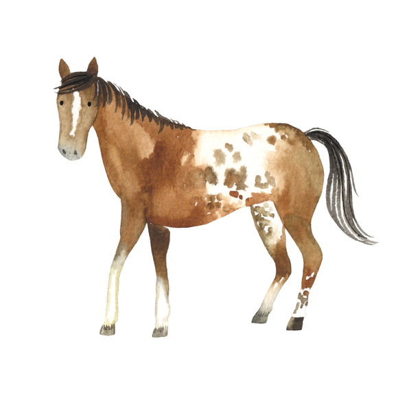Pinto Horse - DTF Transfer/Iron On or Heat Press