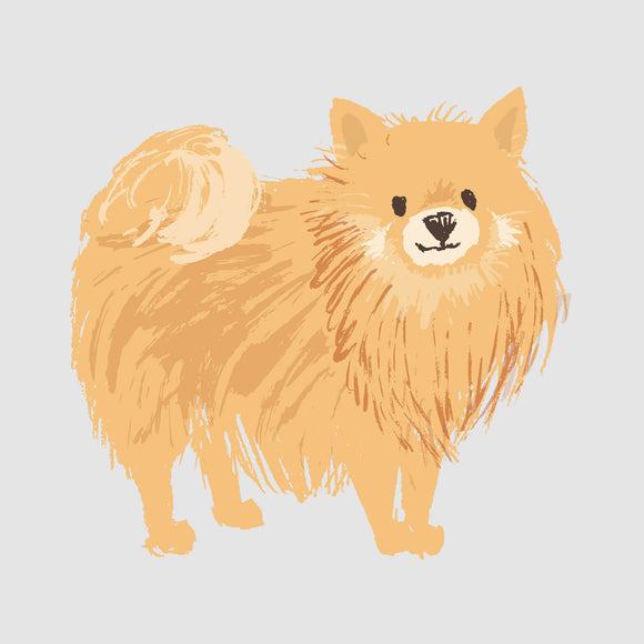 Pomeranian - Tan - DTF Transfer/Iron On or Heat Press