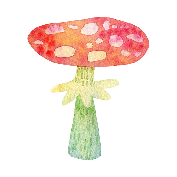 Spotted Mushrooms - DTF Transfer/Iron On or Heat Press