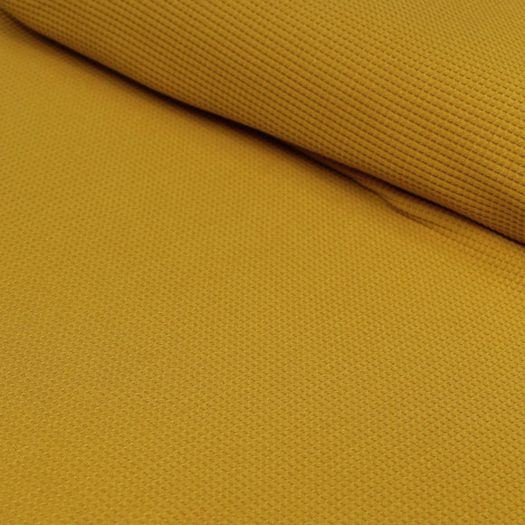 GOLDENROD - Organic Cotton/Spandex Euro Knit