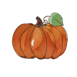 Watercolor Pumpkin - DTF Transfer/Iron On or Heat Press