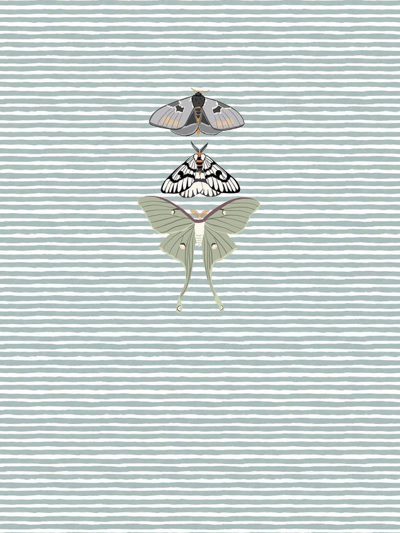 RAPPORT - Moths - Ocean Stripes - Organic Cotton/spandex European Jersey Knit