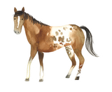 Vinyl Sticker - Brown Horse